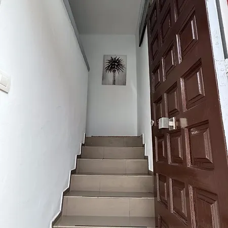 Phoenix Canariensis Apartman