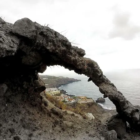 Phoenix Canariensis Apartman
