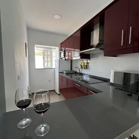 Phoenix Canariensis * San Juan de la Rambla