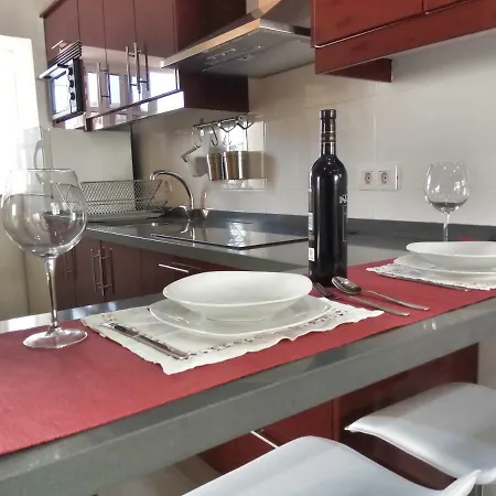 Phoenix Canariensis Apartment