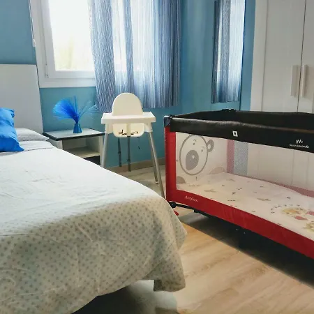 Phoenix Canariensis Apartment