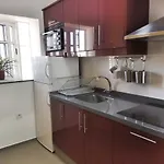 Phoenix Canariensis Appartement