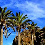 Appartement Phoenix Canariensis San Juan de la Rambla