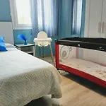 Phoenix Canariensis Appartement