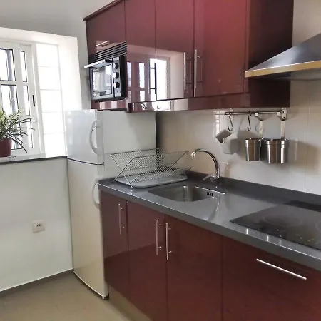 Phoenix Canariensis Apartament