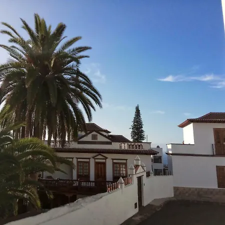 Phoenix Canariensis * Сан-Хуан-де-ла-Рамбла