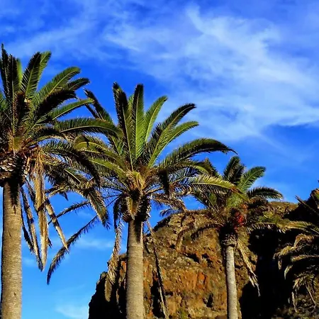 아파트 Phoenix Canariensis San Juan de la Rambla